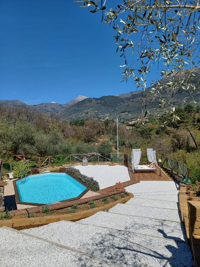 Villa Daniela Camaiore Eksteriør bilde