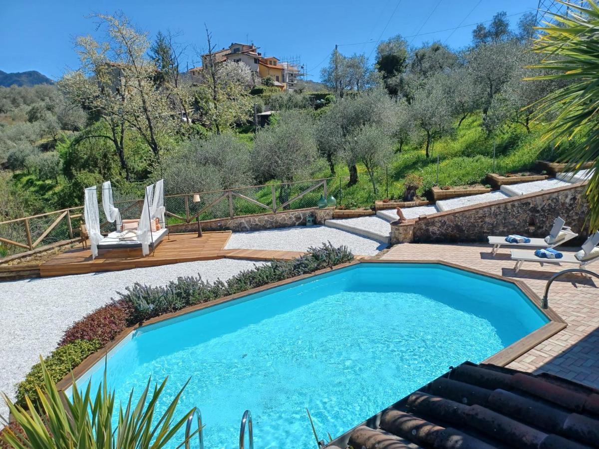 Villa Daniela Camaiore Eksteriør bilde