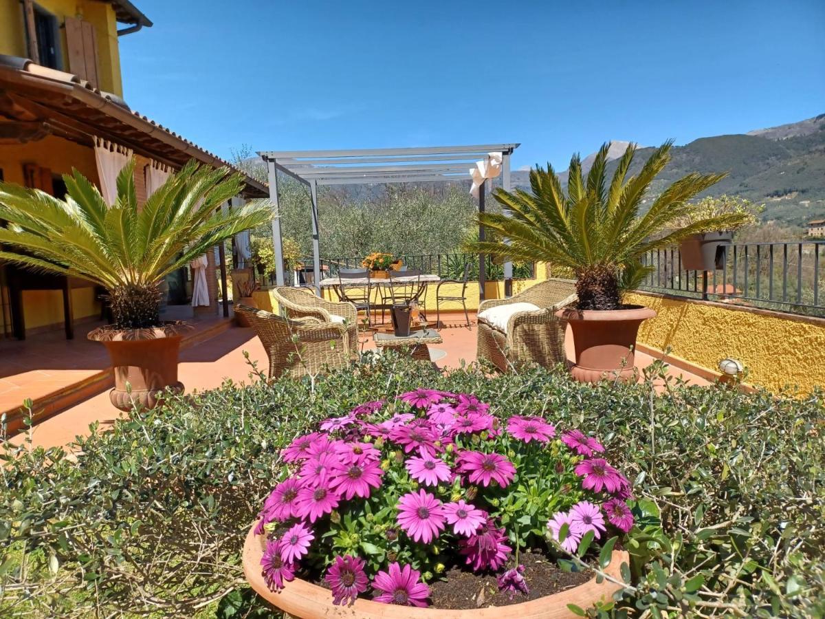 Villa Daniela Camaiore Eksteriør bilde