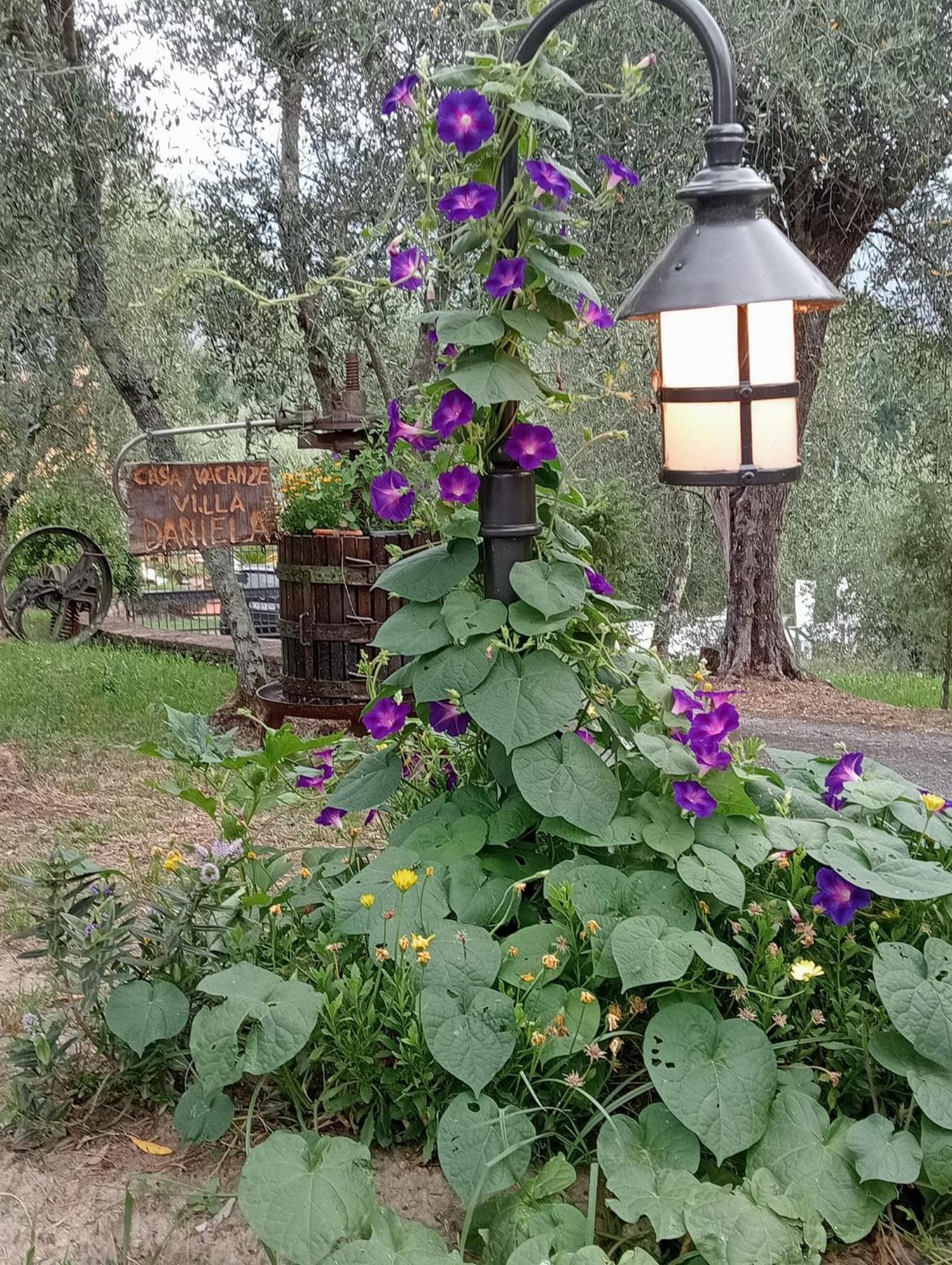 Villa Daniela Camaiore Eksteriør bilde
